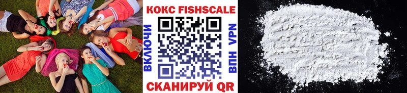купить наркотики цена Ефремов Кокаин Fish Scale
