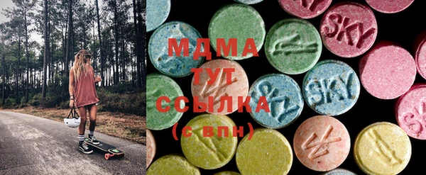 дмт Богданович