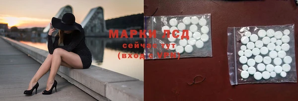 прущие грибы Богородск