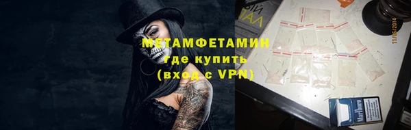 прущие грибы Богородск