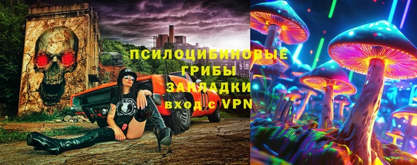 дмт Богданович