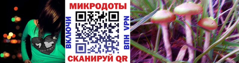 Галлюциногенные грибы мухоморы  Ефремов 